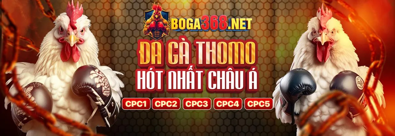 Hình ảnh hỗ trợ khách hàng chuyên nghiệp của donclub nhà cái