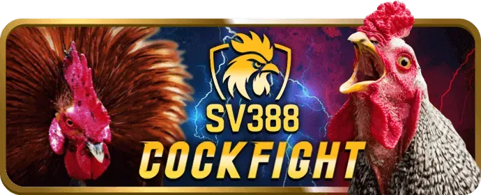 Khuyến mãi thể thao và casino donclub nhà cái