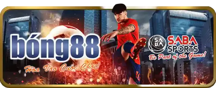 Cá cược thể thao donclub nhà cái